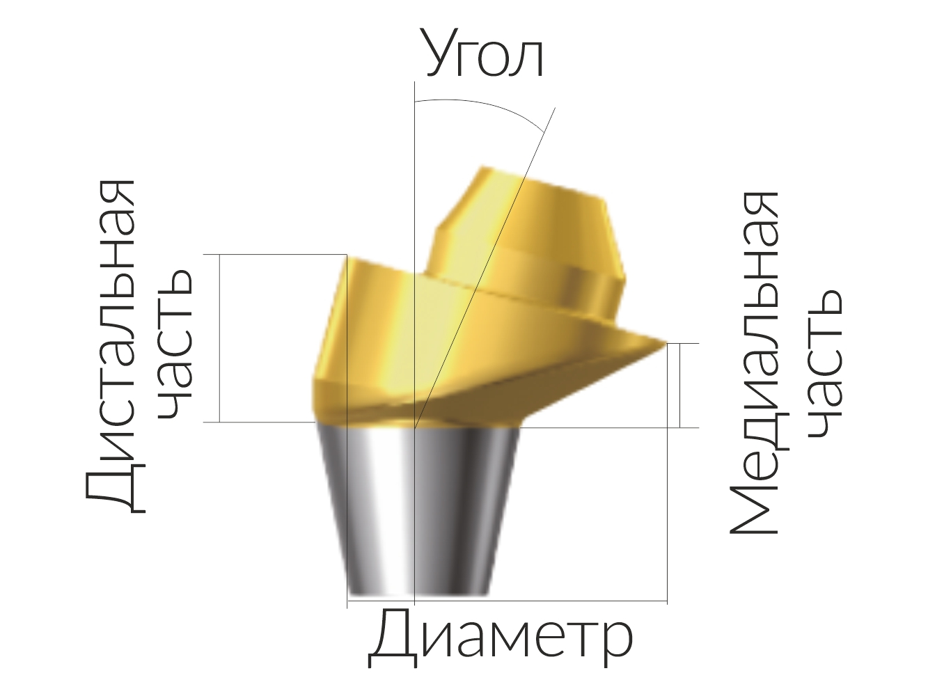 ASA55151518N Винтовой угловой абатмент, без шестигранника диаметр 5.5, Dentium (Ю.Корея)