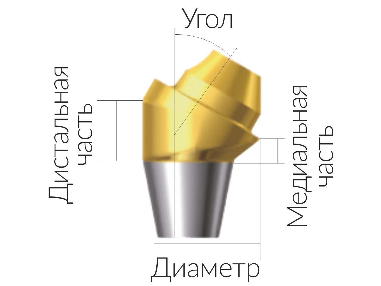 ASA45301018H  Винтовой угловой абатмент без шестигранника, диаметр 4.5 мм, Dentium (Ю.Корея)