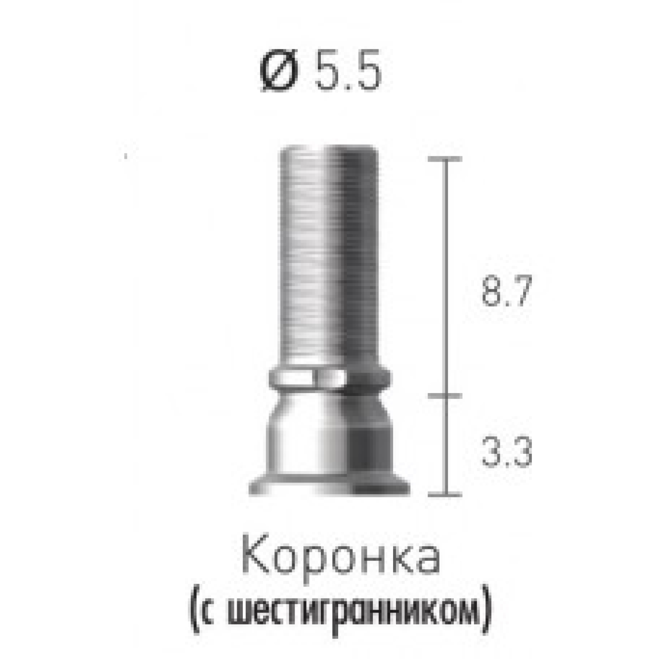 STC55SL Цилиндр титановый, винт абатмента с шестигранником, Dentium (Ю.Корея)