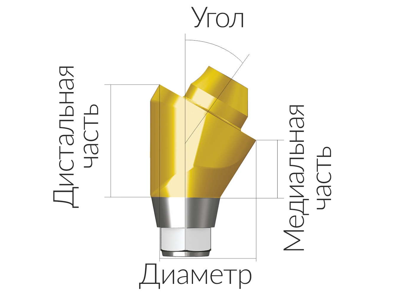 ASA55153018N  Винтовой угловой абатмент без шестигранника, диаметр 5.5 мм, Dentium (Ю.Корея)