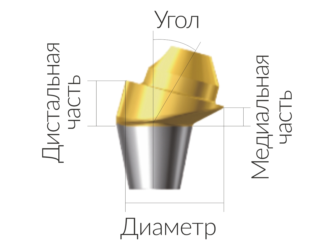 ASA45151018N  Винтовой угловой абатмент, без шестигранника, диаметр 4.5 мм, Dentium (Ю.Корея)